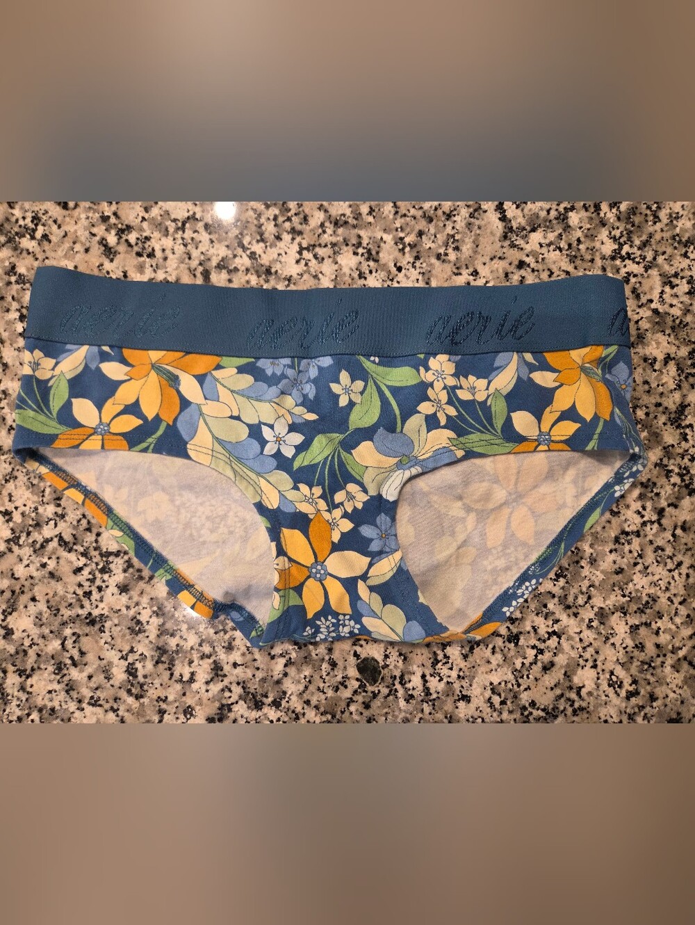 aerie Floral Teen Boybrief Panties
